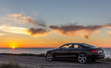 João Meneses Photography